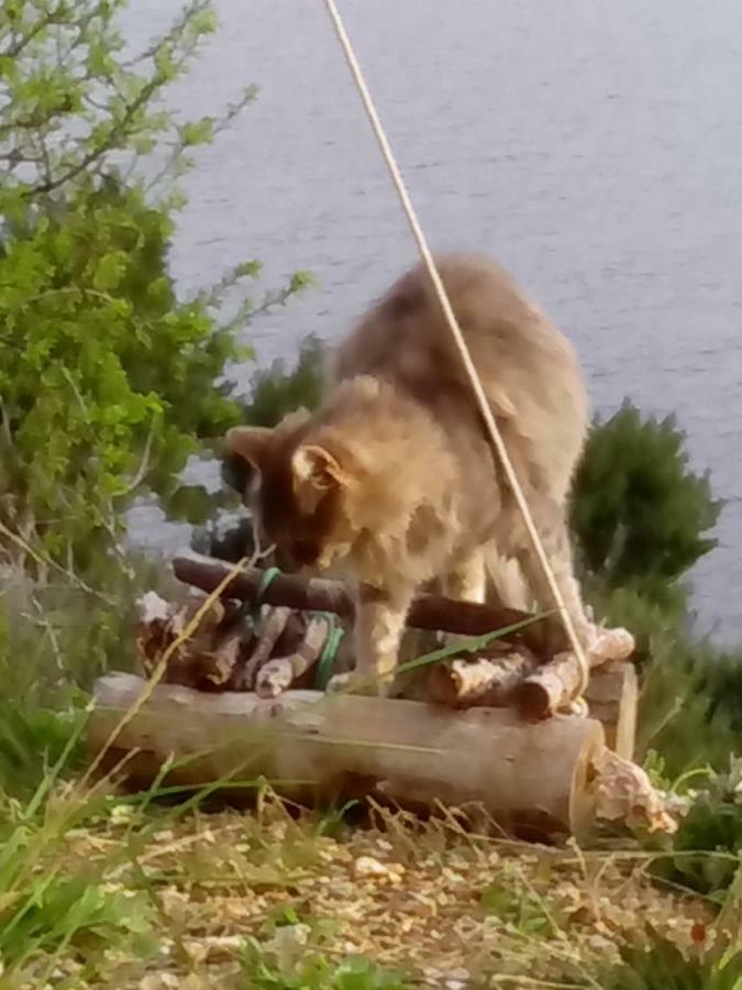 Camping Aloa Бол Экстерьер фото